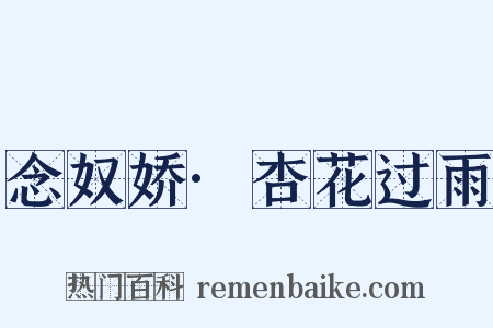 念奴娇·杏花过雨是什么意思的图片